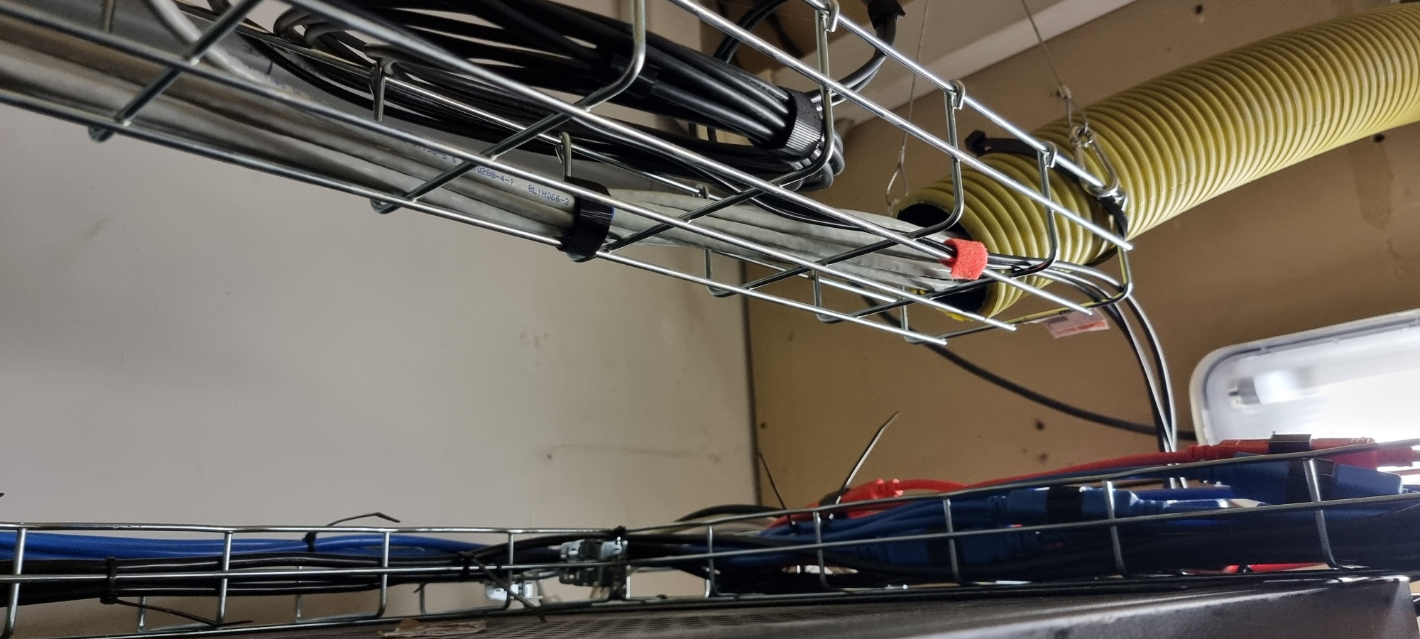 20250127_220700_resized